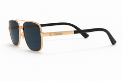 Gold & Black Sunglasses