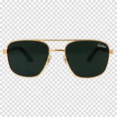 Gold & Black Sunglasses