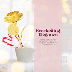 24k Gold Rose with Luxury Gift Box